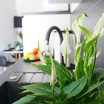 Cosmo Dubrovnik